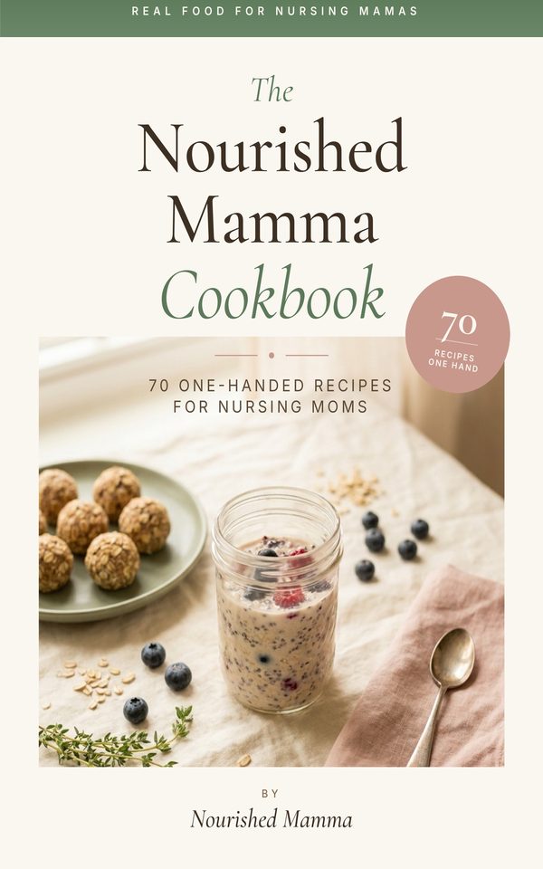 The Nourished Mamma Cookbook — 70 one-handed recipes for nursing moms